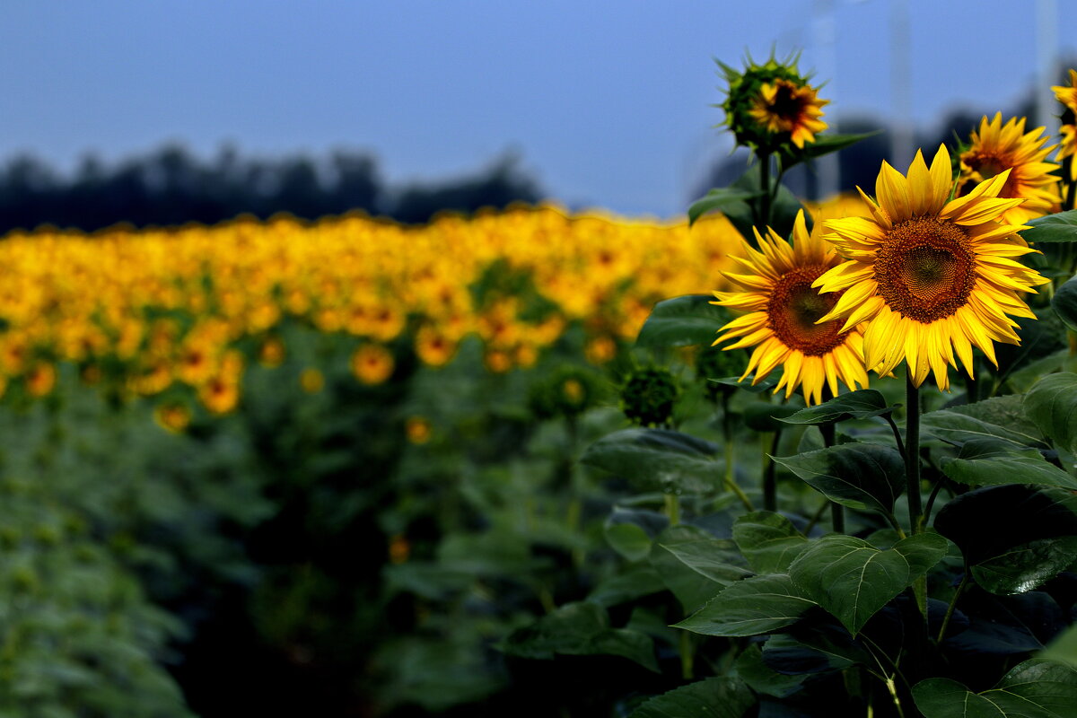 Two & Others - M Marikfoto Two & Others - M Marikfoto