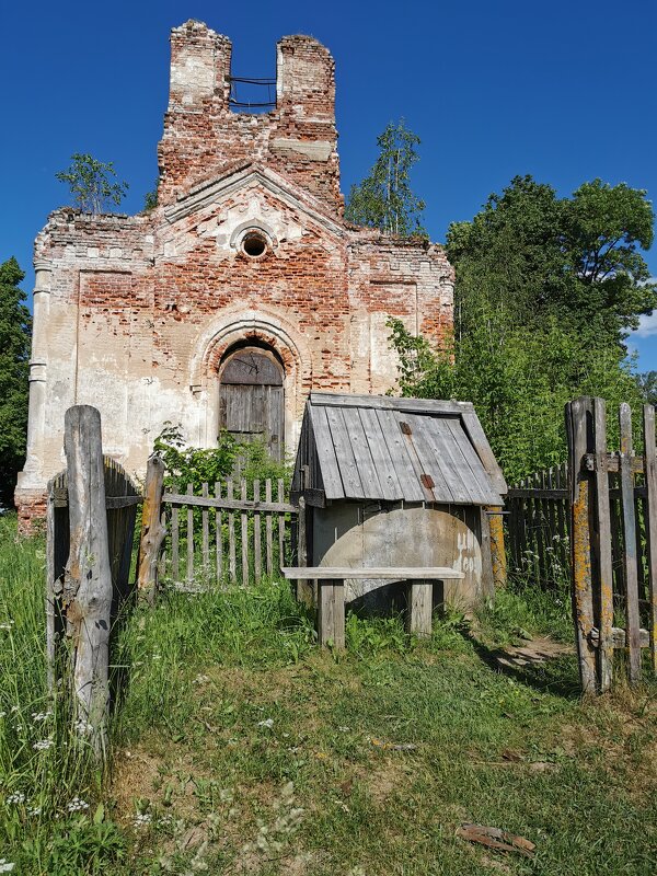 ... - Наталья Коверда