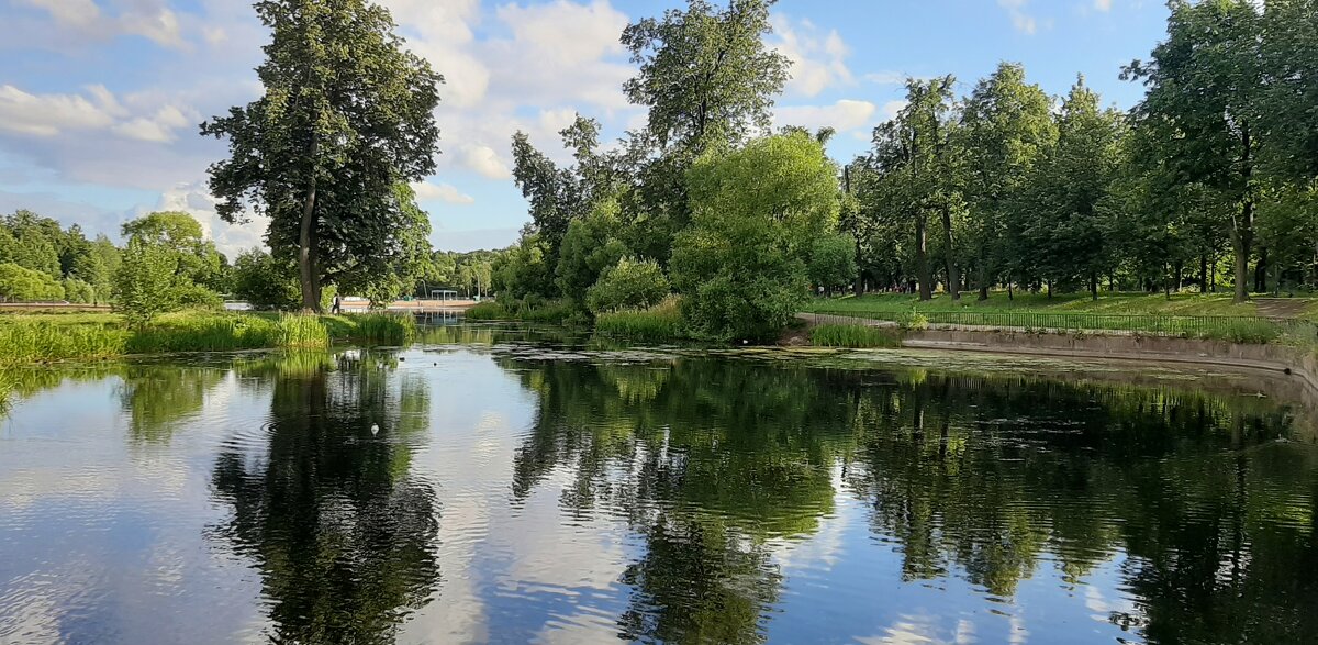 Царское Село. Июль - Наталья Герасимова