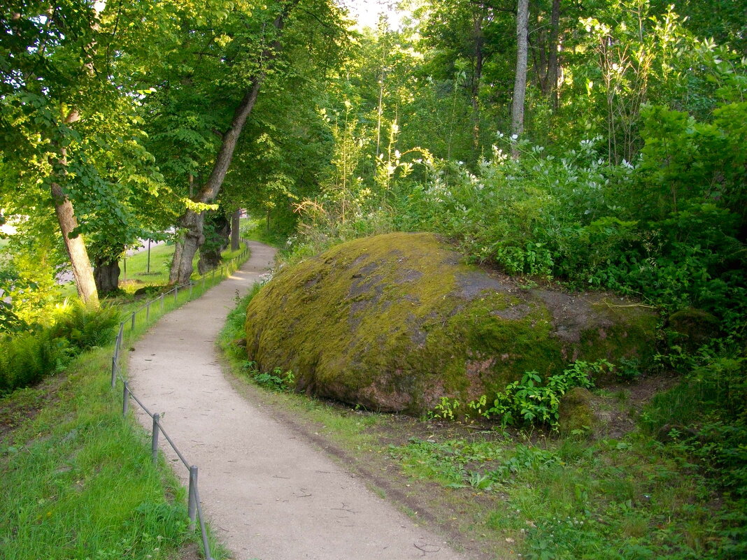 По дорожкам Монрепо. - Лия ☼