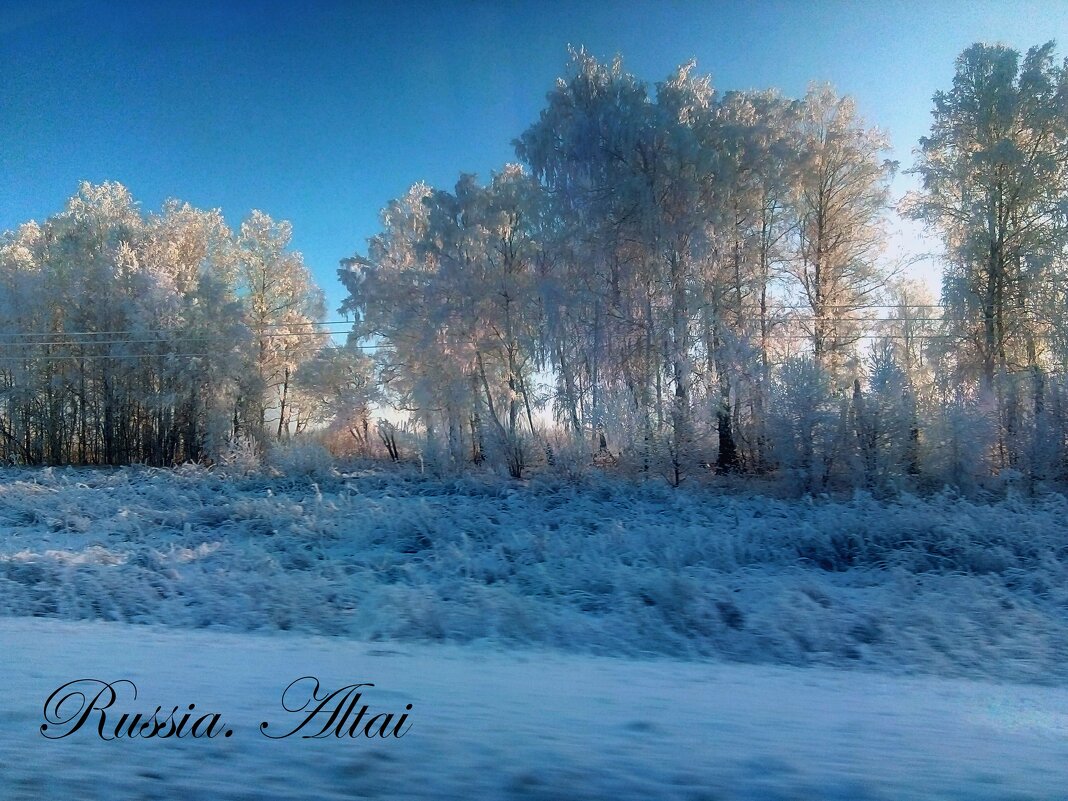 Зимняя сказка - Екатерина Осадчева Зимняя сказка - Екатерина Осадчева