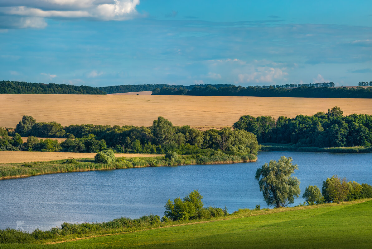 Июльский день - Фёдор. Лашков