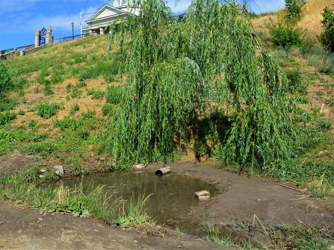 Ростов-на-Дону. Родник Чор-Хах. Западный ключ. - Пётр Чернега