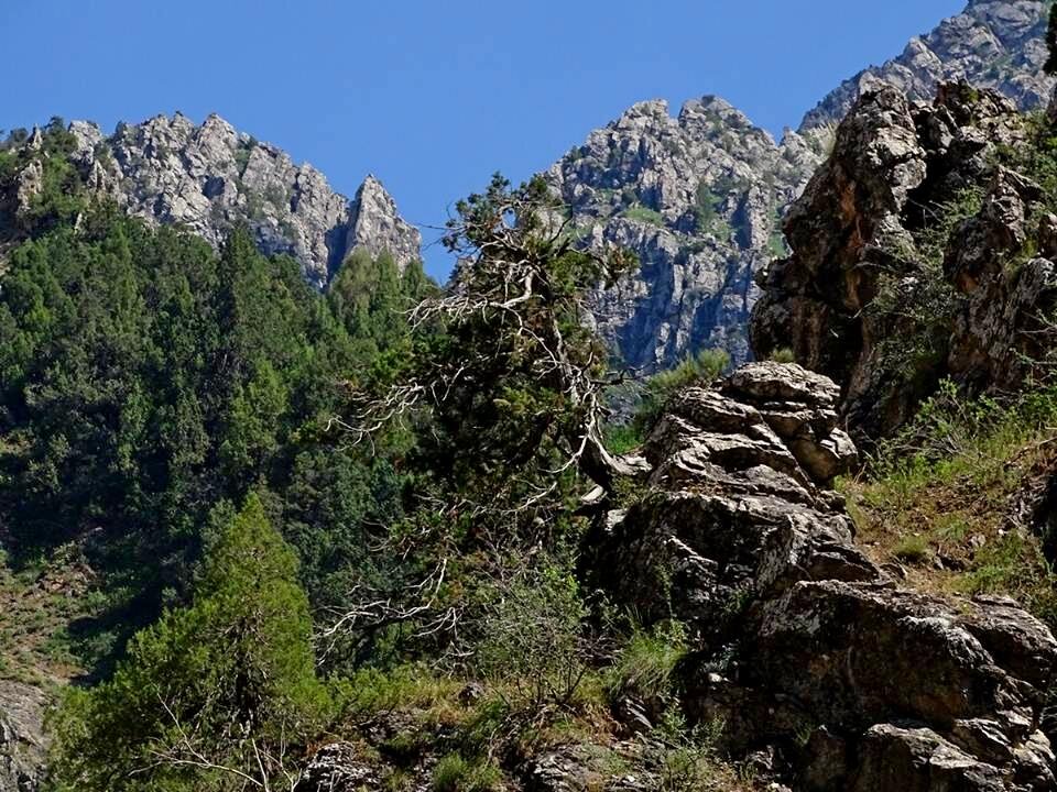 ПО ГОРАМ. - Виктор Осипчук