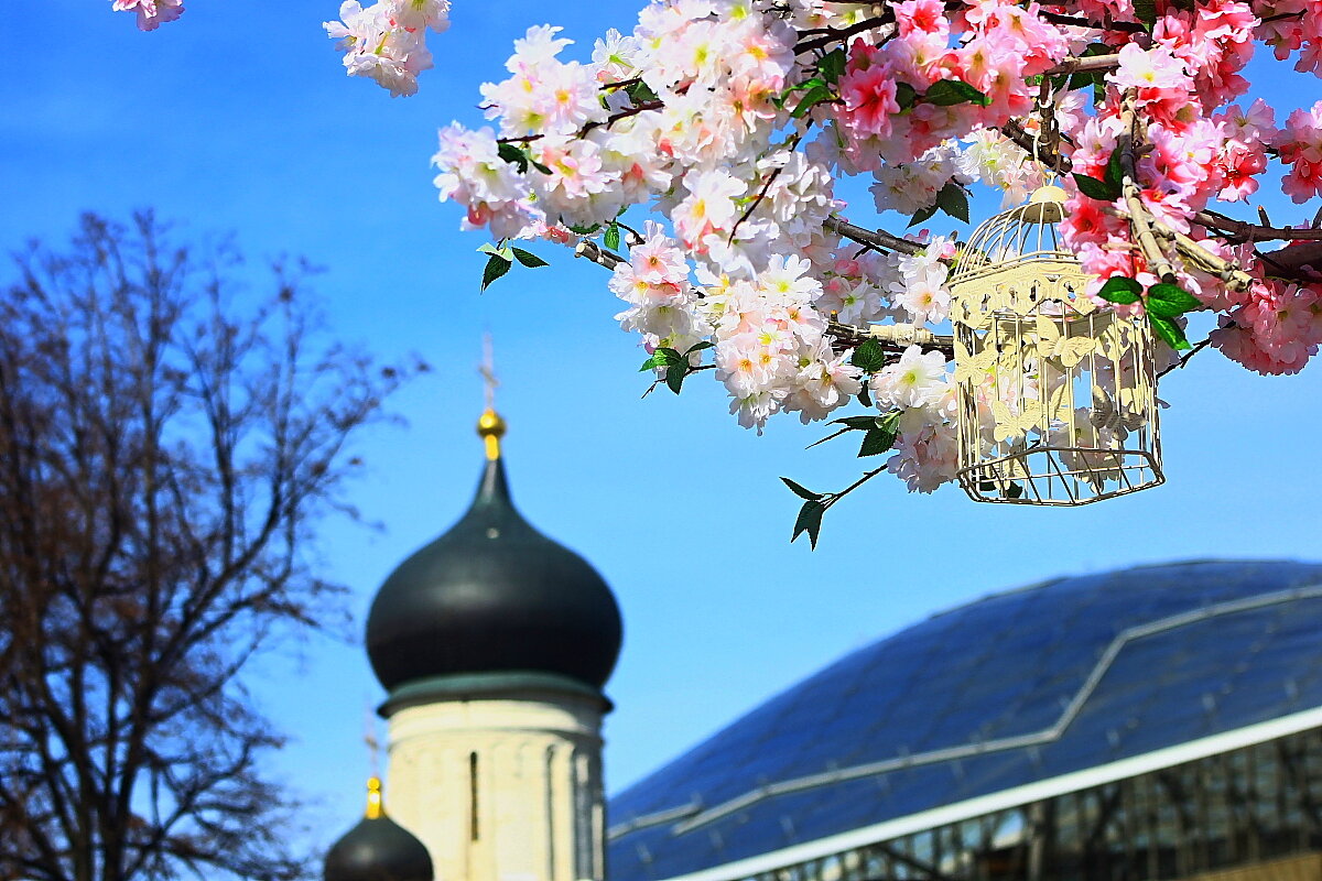 Праздник - олег свирский 