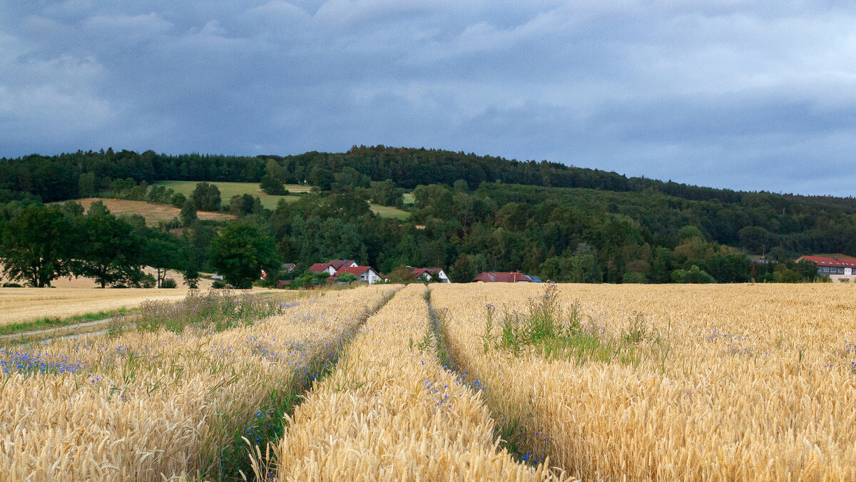 Германия. Kämmerzell. Ландшафт - Олег Зак