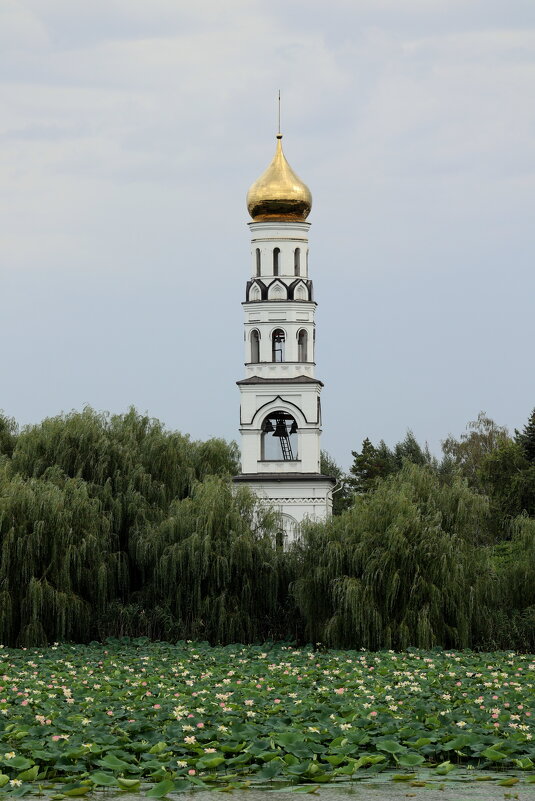 Лотосы женского монастыря. - Александр Кондаков