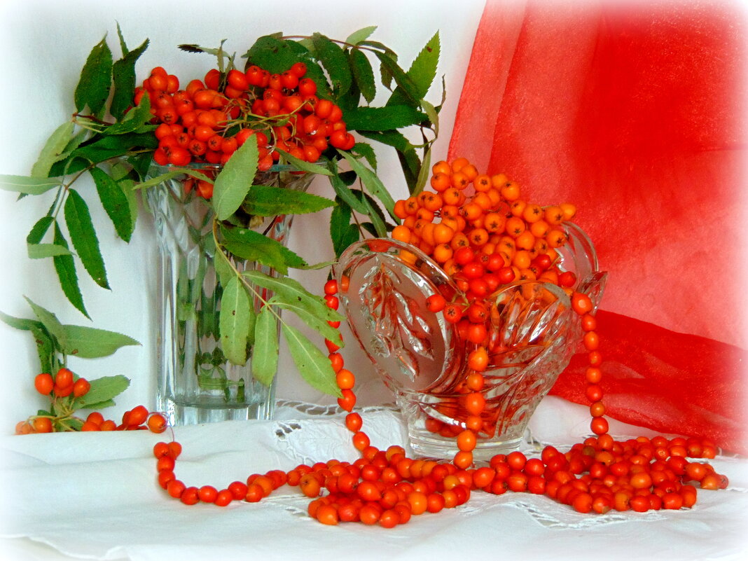 Рябиновые бусы. - nadyasilyuk Вознюк Рябиновые бусы. - nadyasilyuk Вознюк