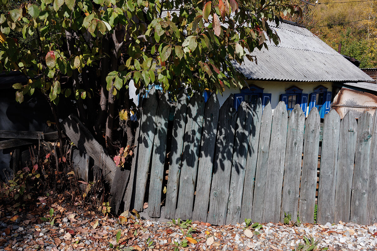 *** - Валерий Михмель 