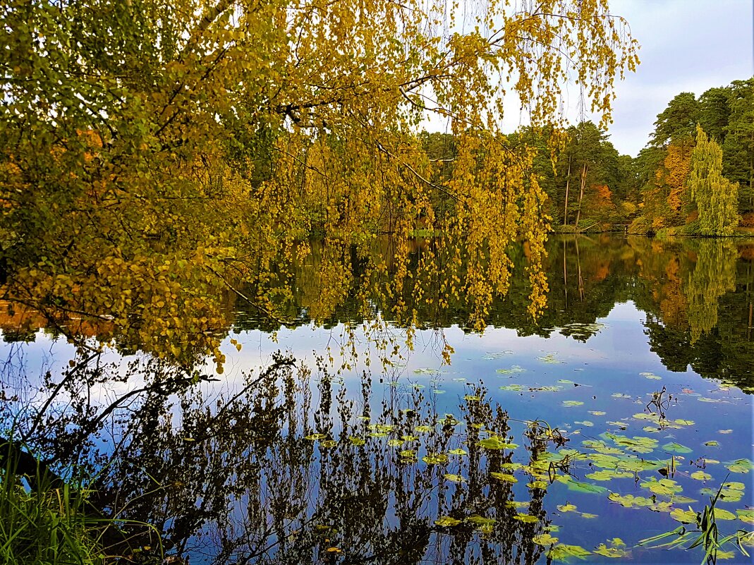 Осенние мотивы... - Ольга Русанова (olg-rusanowa2010) Осенние мотивы... - Ольга Русанова (olg-rusanowa2010)