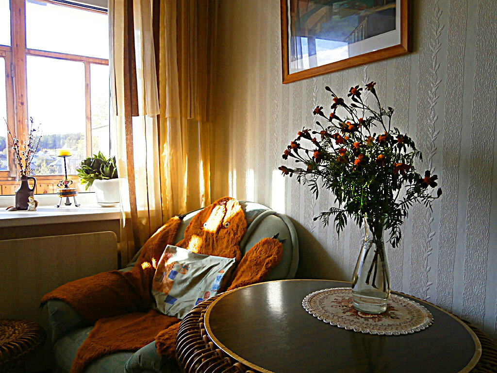 Бархатцы - Алевтина 