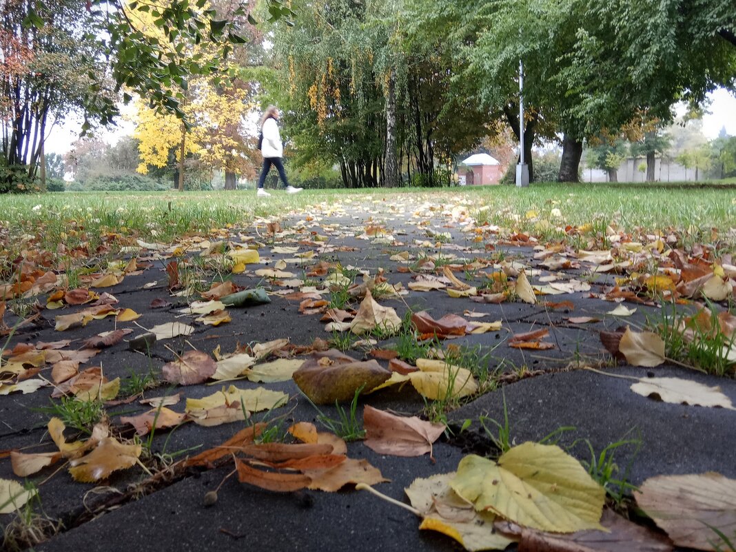 В парке 3 - Елена Пономарева