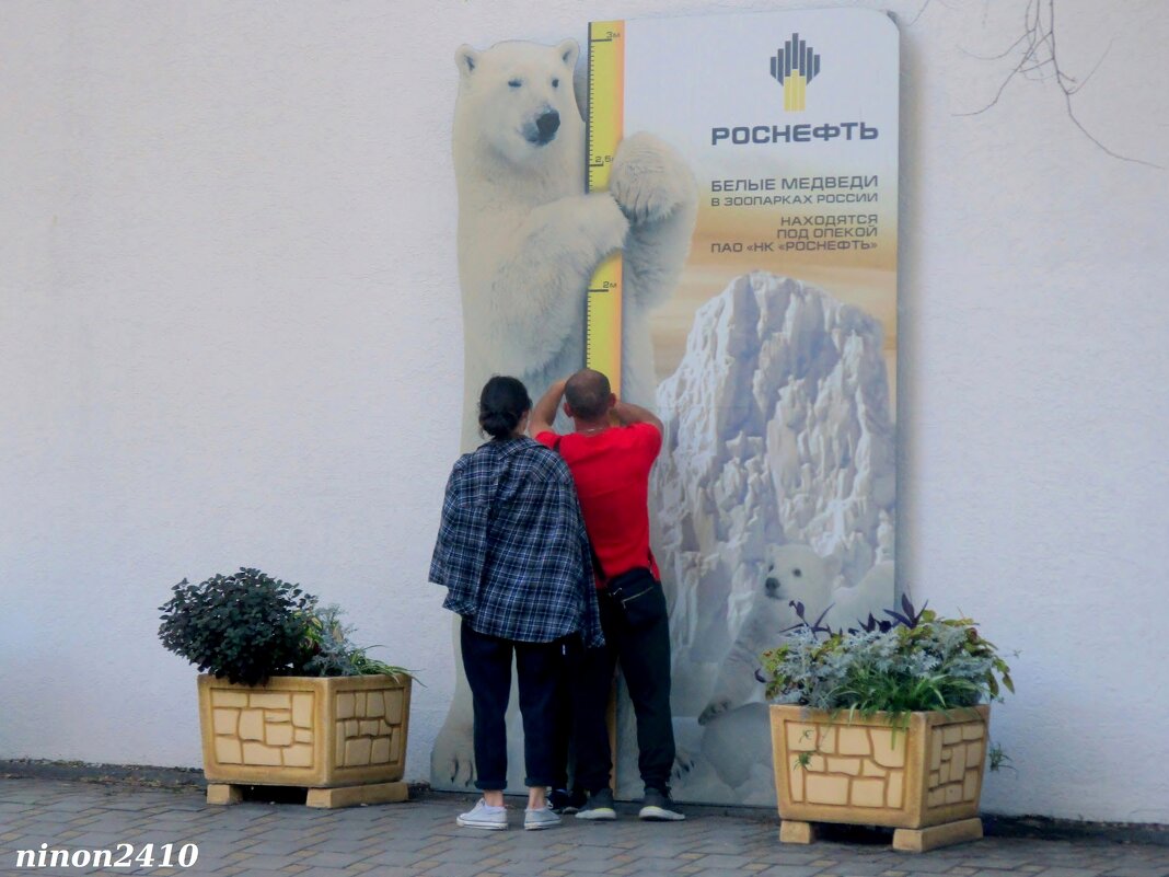 В ростовском зоопарке - Нина Бутко В ростовском зоопарке - Нина Бутко