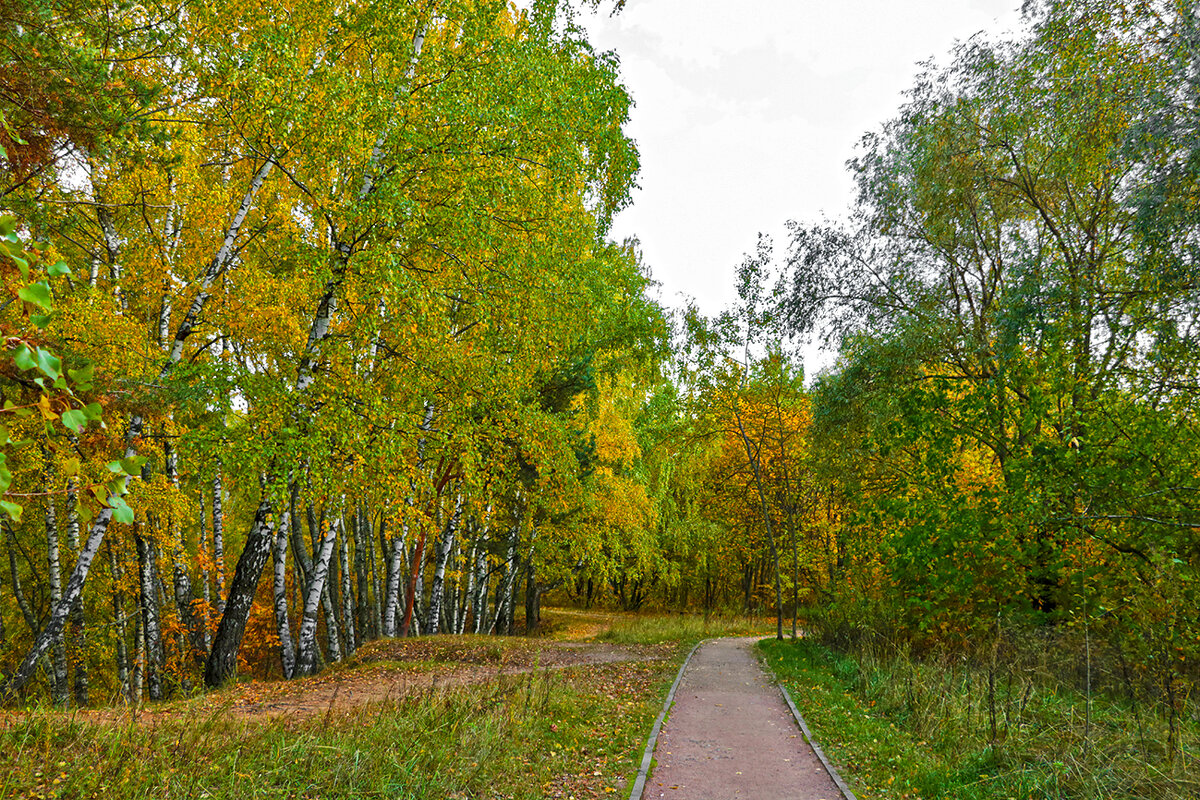 Осень в парке - Светлана 