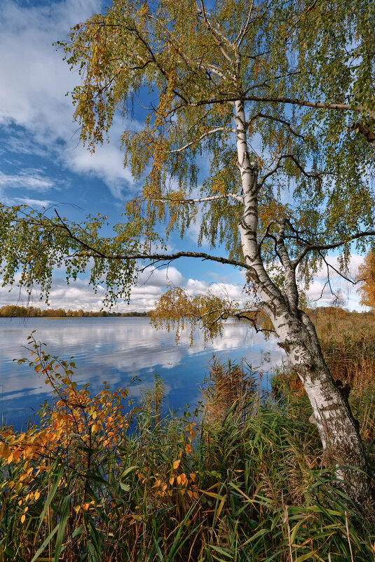 img_1516 - Сергей Козлов