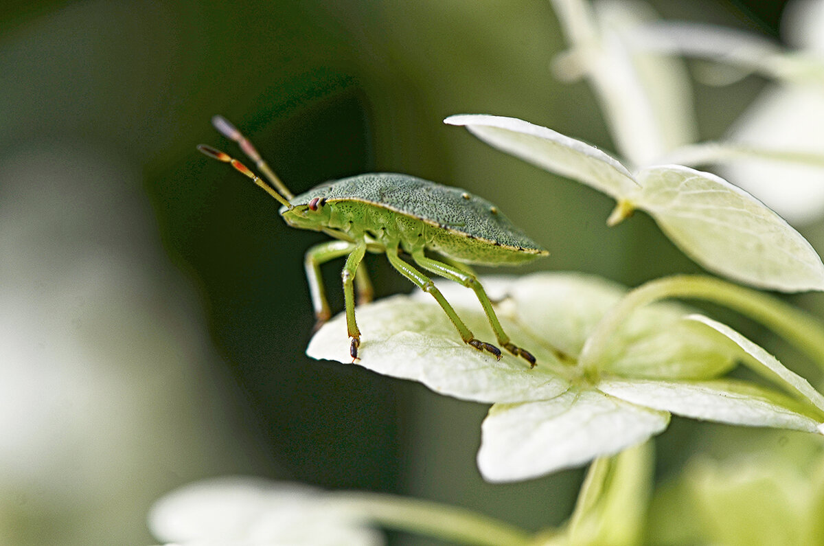 На страже - Valeriy(Валерий) Сергиенко