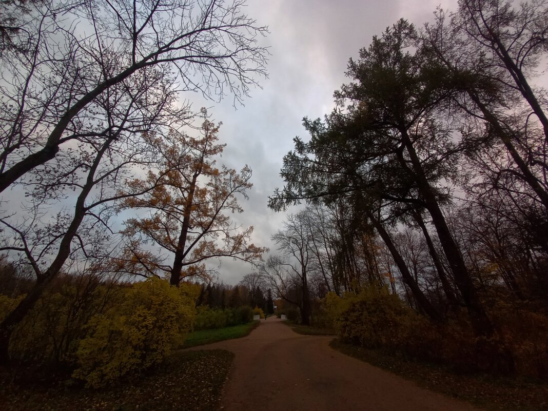 Закат - Сапсан 