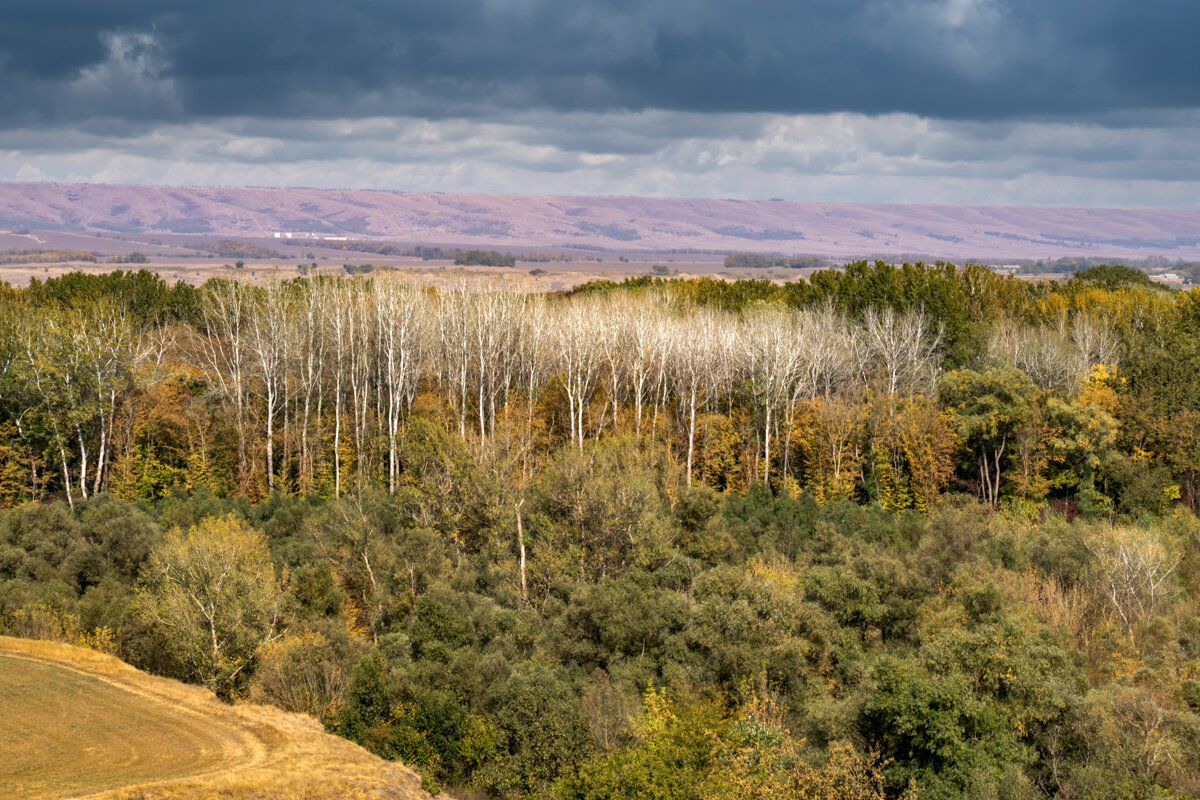 Осень в Краснодарском крае - Игорь Сикорский Осень в Краснодарском крае - Игорь Сикорский