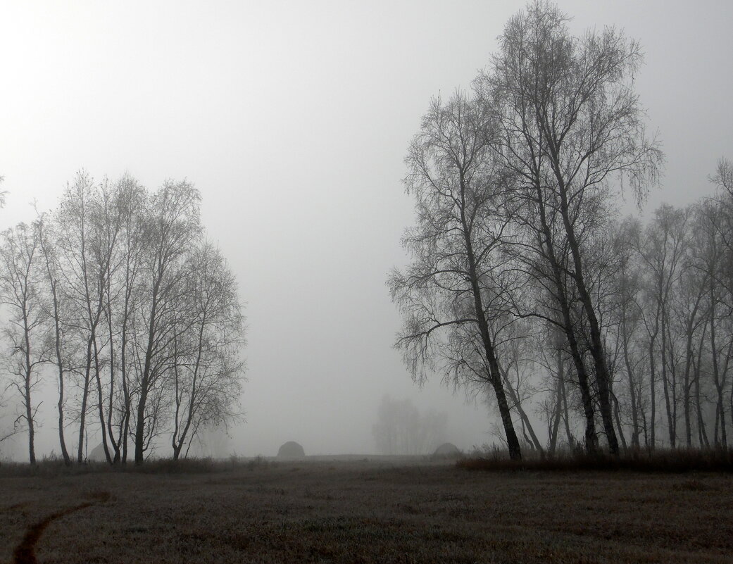 Всё скрылось за густым туманом. - nadyasilyuk Вознюк Всё скрылось за густым туманом. - nadyasilyuk Вознюк