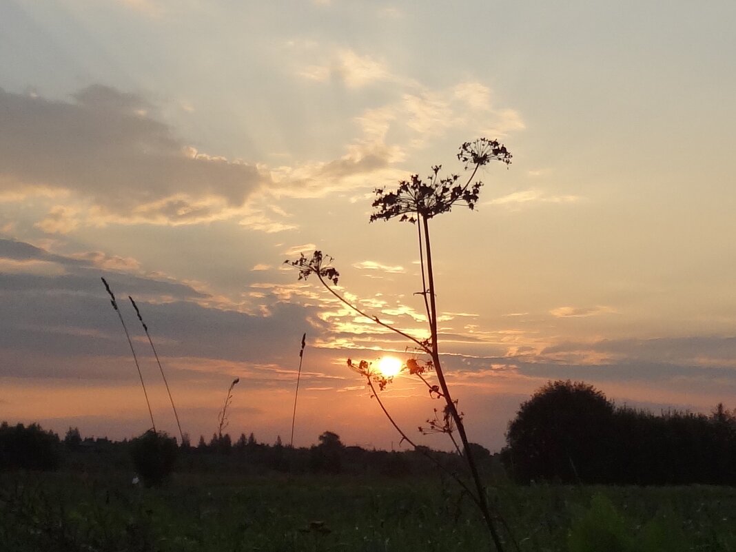 уходящий день - Валентина. .