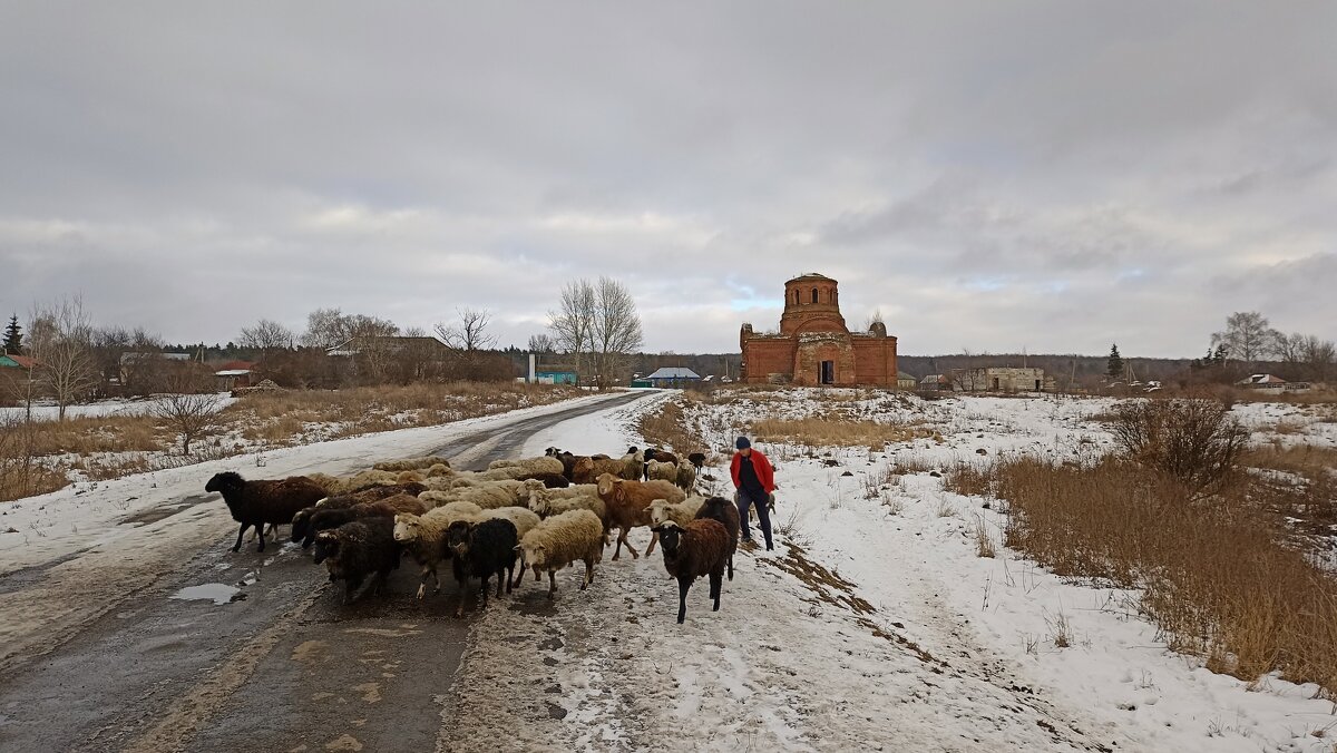 На селе - Олег Денисов