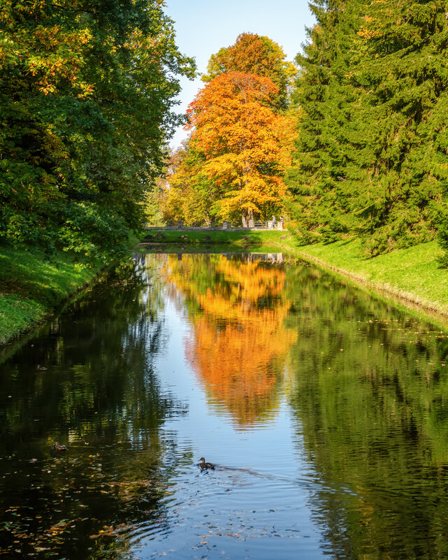 Октябрь - Владимир Колесников