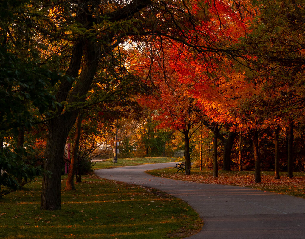 просто осень - Vladimir K