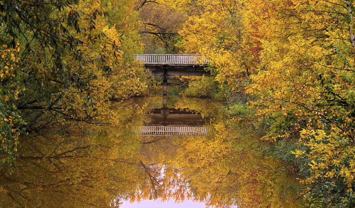 Осень... - Игорь Суханов Осень... - Игорь Суханов