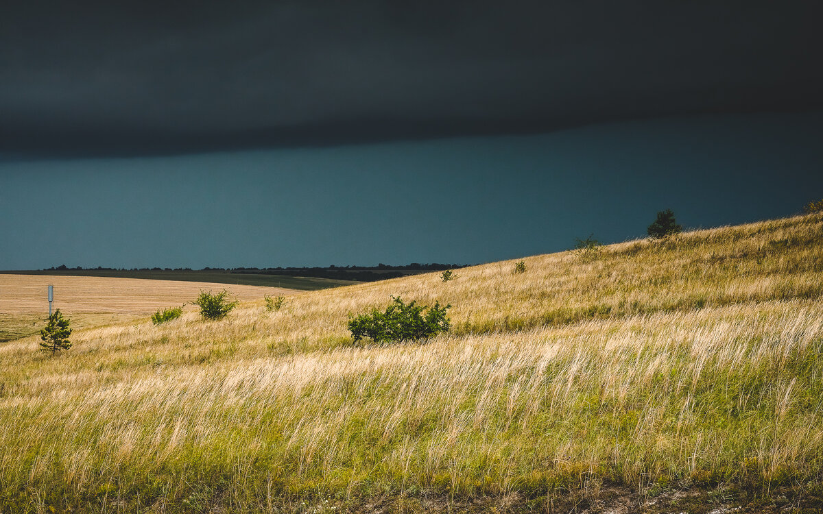 Перед грозой - Егор Афросимов