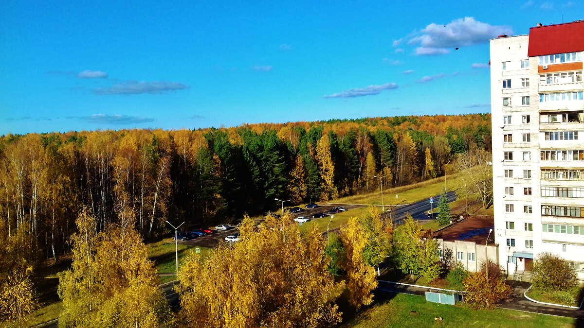 городская среда - Владимир 