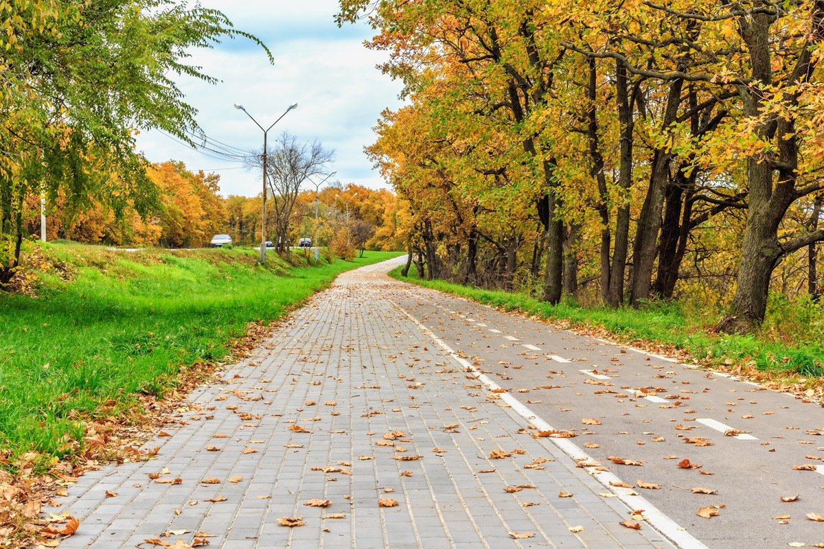 Осень на беговой дорожке - Юрий Стародубцев Осень на беговой дорожке - Юрий Стародубцев