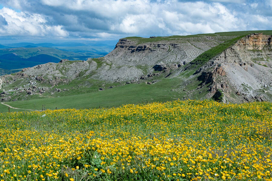 Бермамыт - Татьяна Полянская