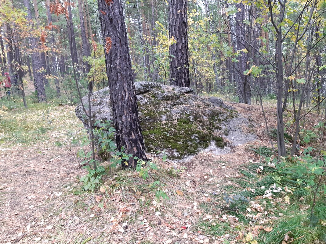 Экскурсия по местам силы в Белокурихе - Галина Минчук