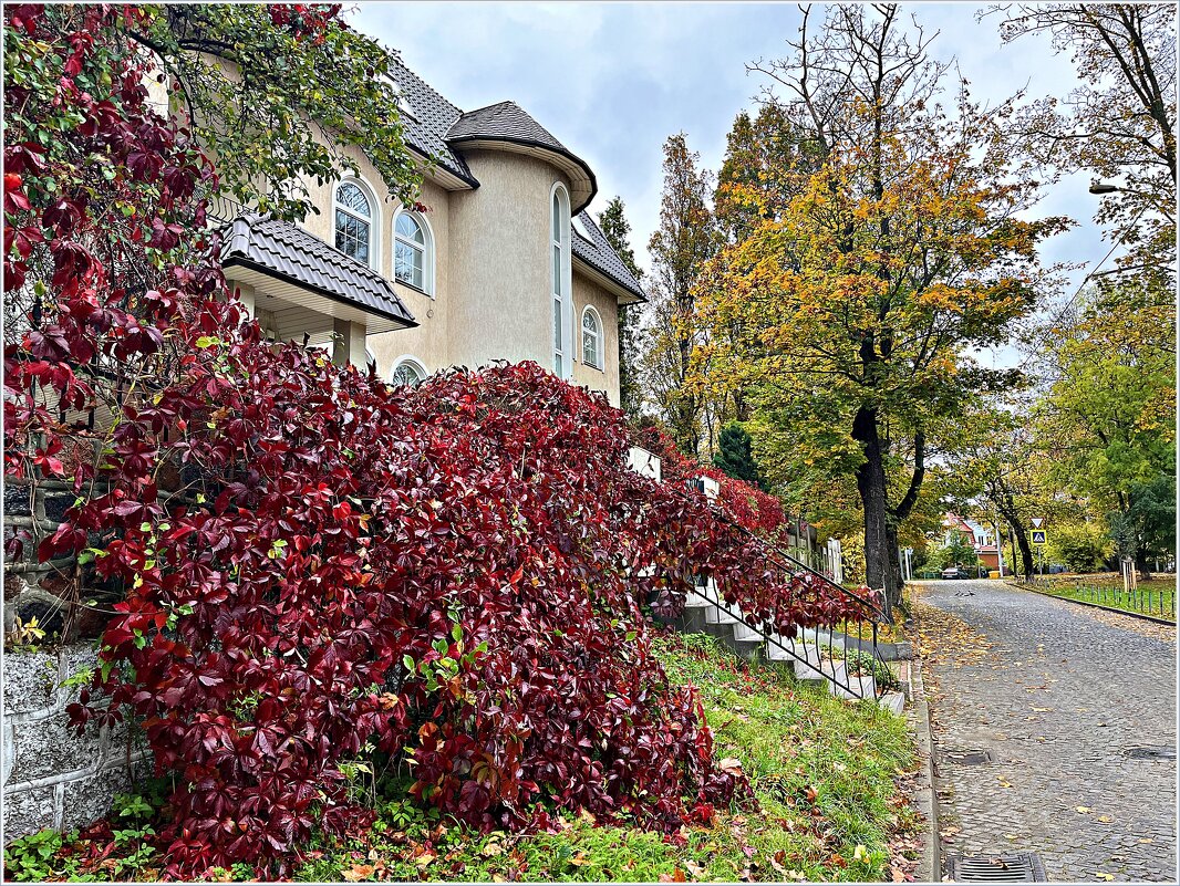 Осень в городе. - Валерия Комова