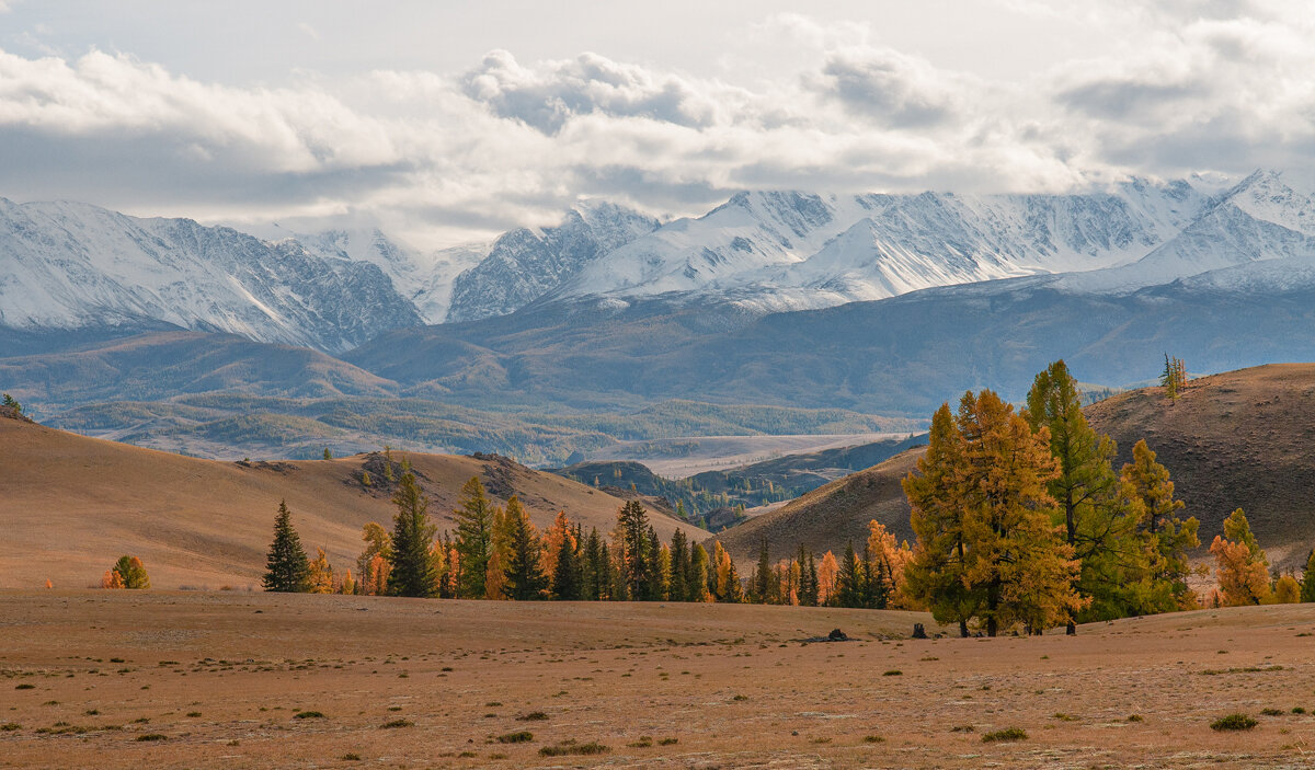 Северо-Чуйский хребет - Юрий Никитенко Северо-Чуйский хребет - Юрий Никитенко