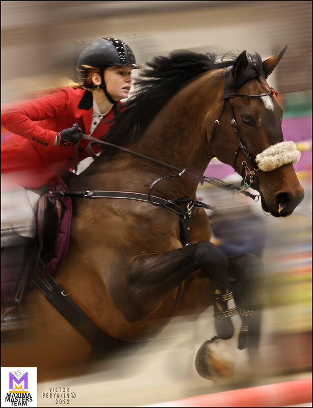 КукушкинаДарья - Виктор Перякин