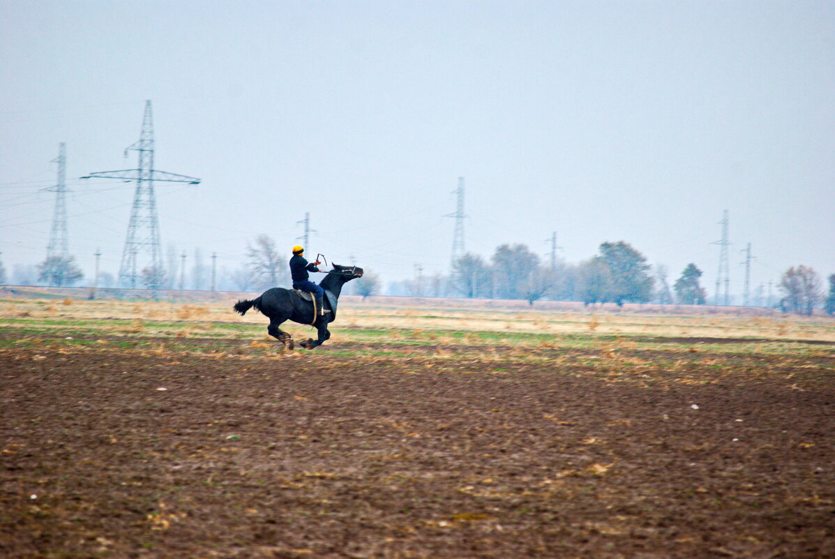 Улак - santamoroz 