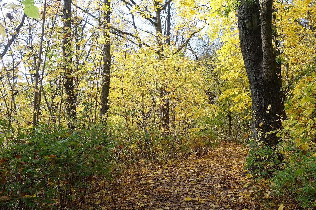 Уголок нетронутой природы - Маргарита Батырева Уголок нетронутой природы - Маргарита Батырева