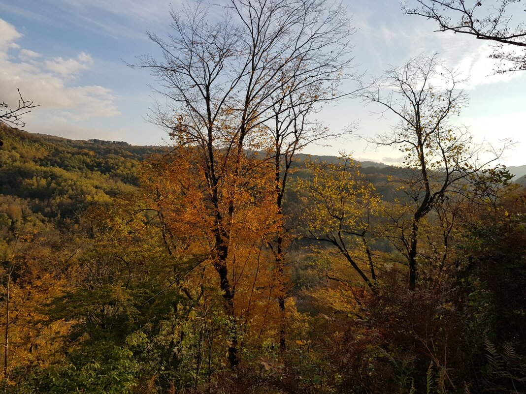 На границе с Абхазией! - Tata Wolf На границе с Абхазией! - Tata Wolf