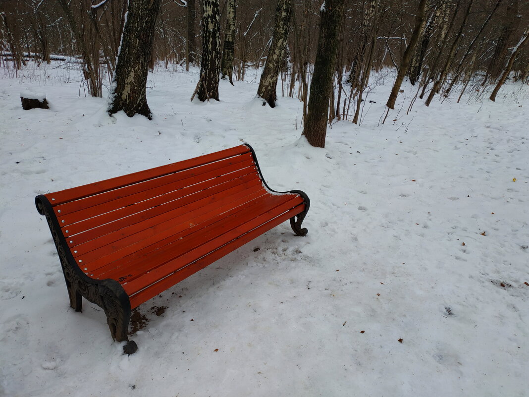 Красная скамейка в качестве красного пальто :-) - Андрей Лукьянов