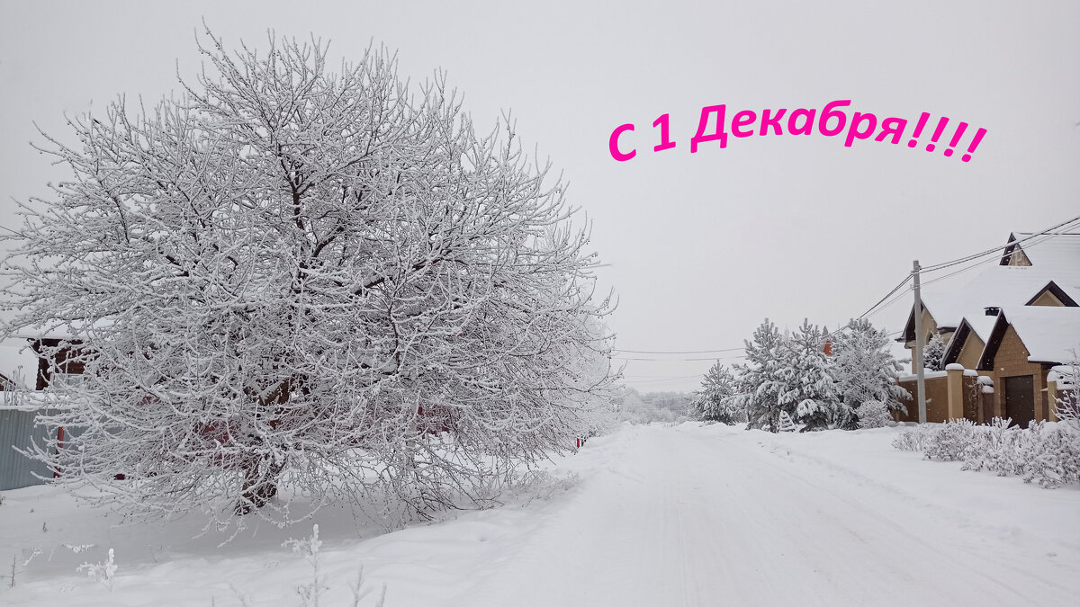 С началом календарной зимы! - Nina Karyuk С началом календарной зимы! - Nina Karyuk