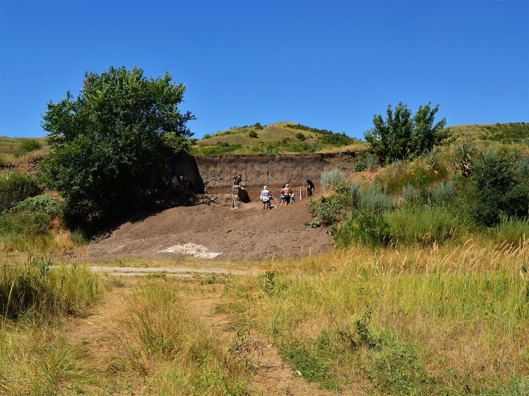 Раздорская. Археологические раскопки "Раздорское - 1". - Пётр Чернега Раздорская. Археологические раскопки "Раздорское - 1". - Пётр Чернега