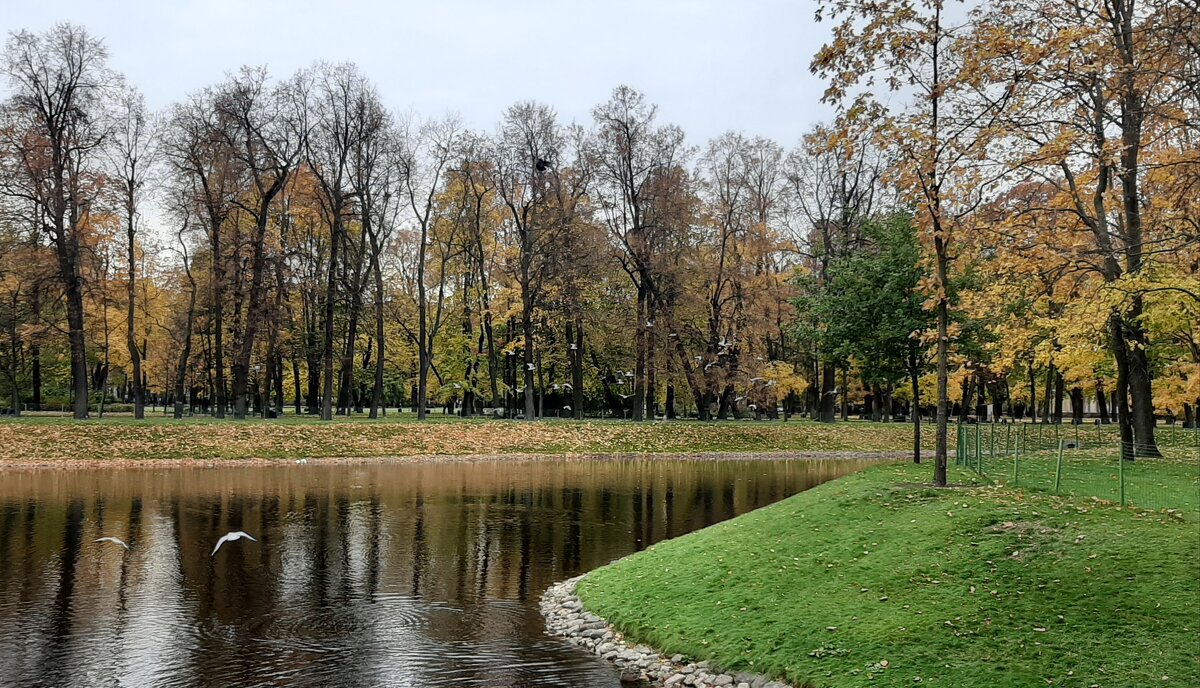 Осень в Михайловском саду - Наталья Герасимова