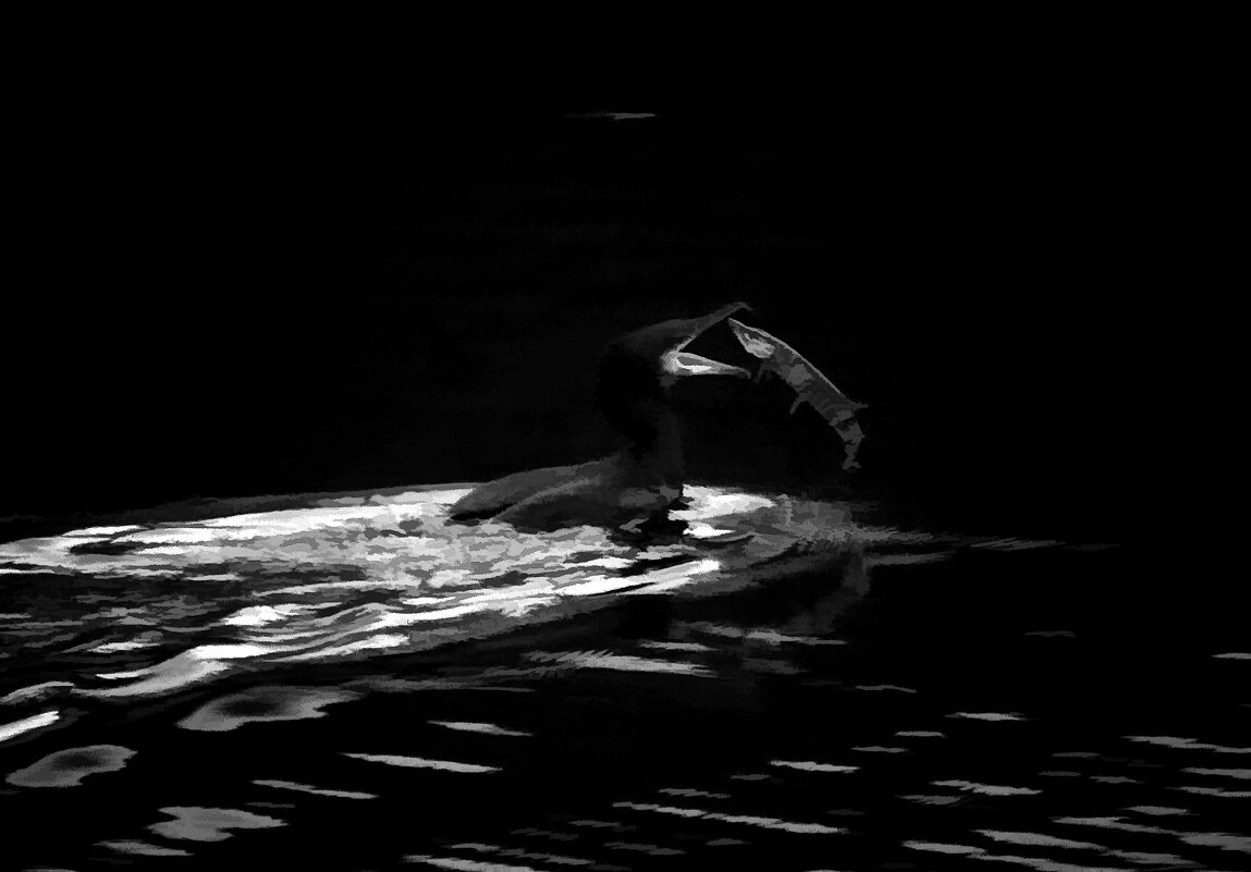 Ночной улов - Alexander Andronik