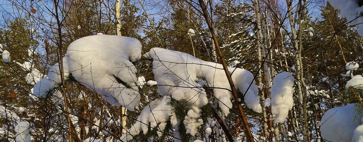 циркачи - Владимир 