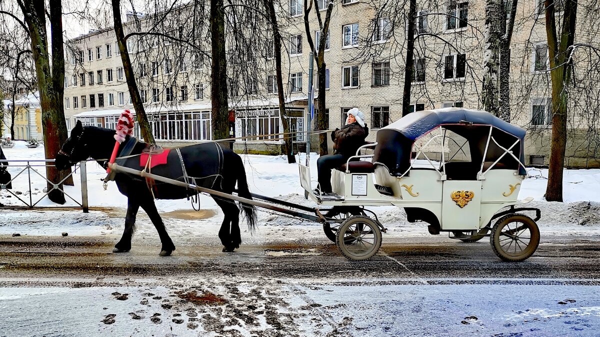 Старый транспорт вышел на линию ... - Сергей 