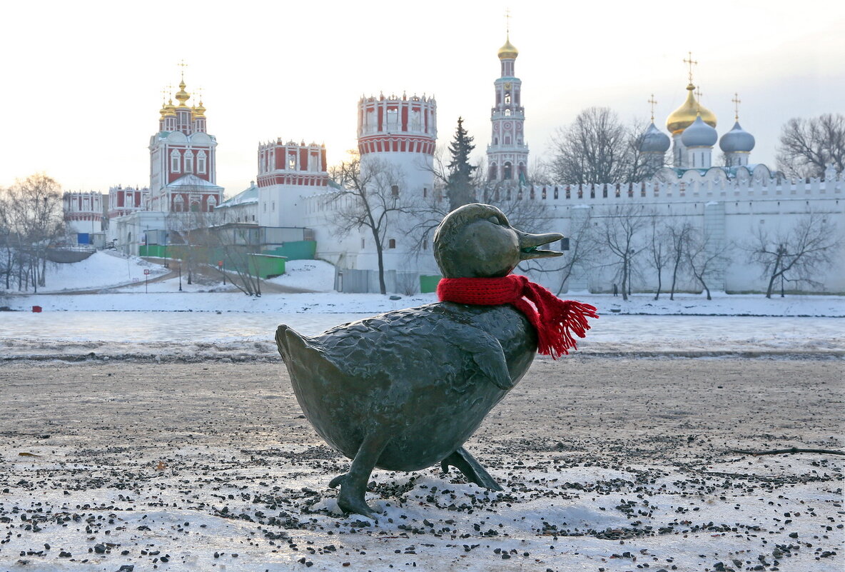 Новодевичий - Михаил Бибичков