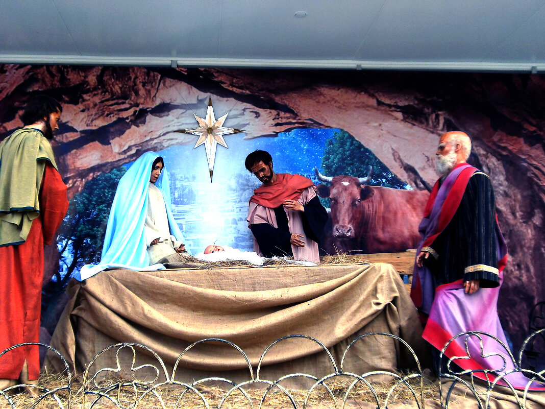 Рождество - Ольга Протасова