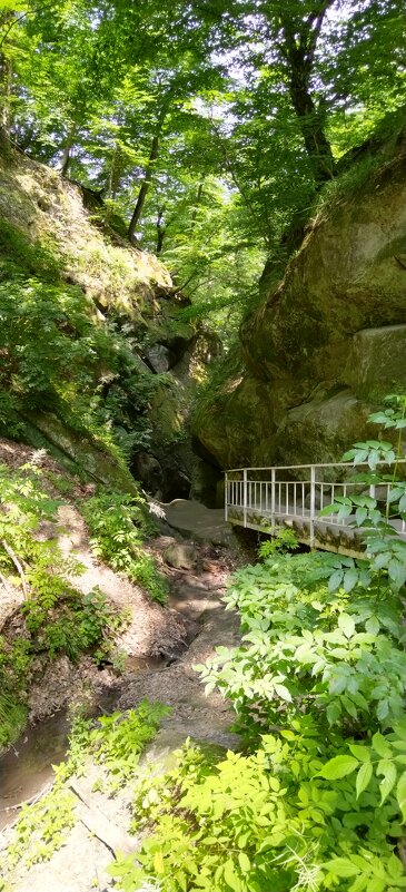 Лестница вниз - Ольга Протасова Лестница вниз - Ольга Протасова
