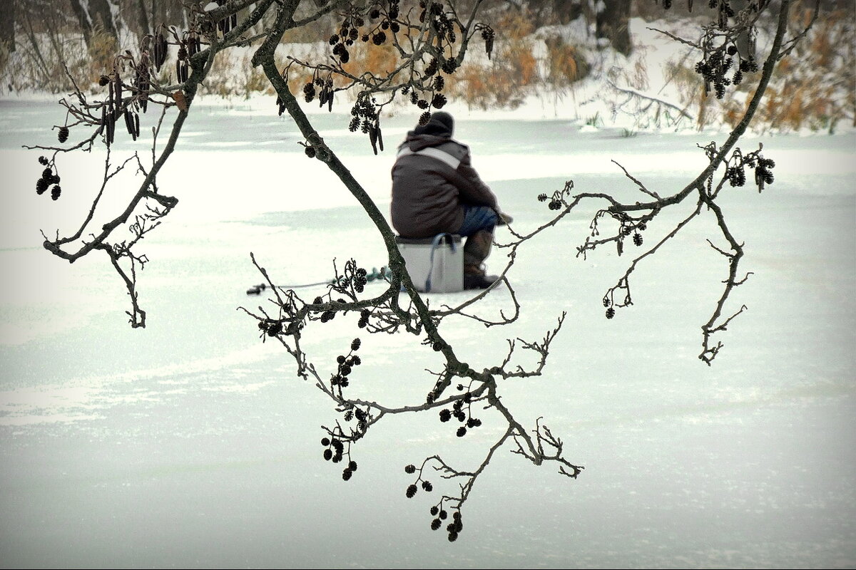 В Загородном , у водоёма... - Владимир Шошин